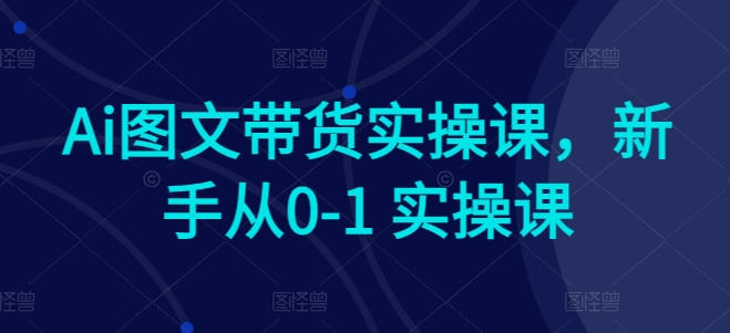 Ai图文带货实操课，新手从0-1 实操课-一点通资源网