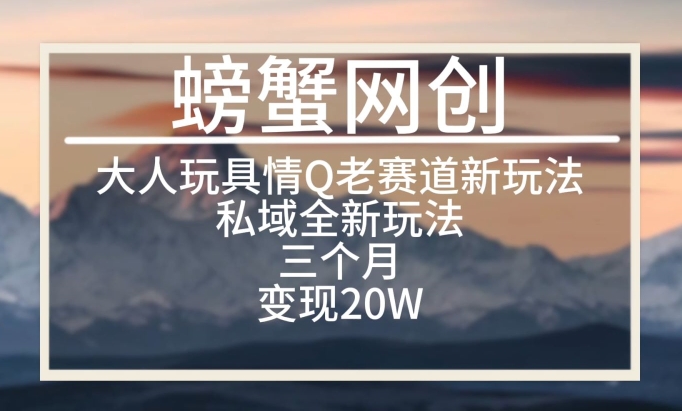 大人玩具情Q用品赛道私域全新玩法，三个月变现20W，老项目新思路【揭秘】-一点通资源网