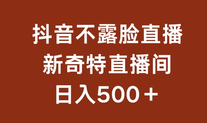 不露脸挂机直播，新奇特直播间，日入500+【揭秘】-一点通资源网