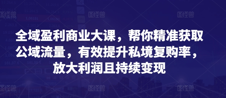 全域盈利商业大课，帮你精准获取公域流量，有效提升私境复购率，放大利润且持续变现-一点通资源网