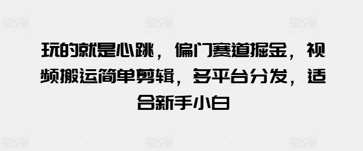 玩的就是心跳，偏门赛道掘金，视频搬运简单剪辑，多平台分发，适合新手小白【揭秘】-一点通资源网