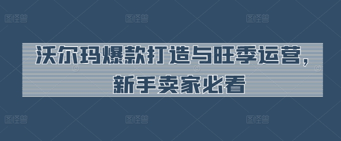 沃尔玛爆款打造与旺季运营，新手卖家必看-一点通资源网
