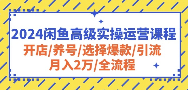 2024闲鱼高级实操运营课程：开店/养号/选择爆款/引流/月入2万/全流程-一点通资源网
