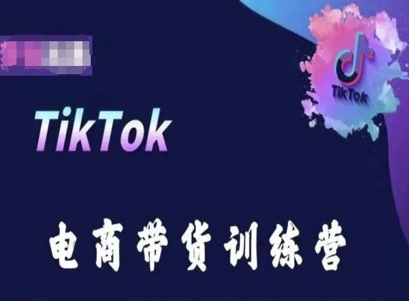 TikTok电商带货训练营，跟随时代潮流，跨境掘金-一点通资源网