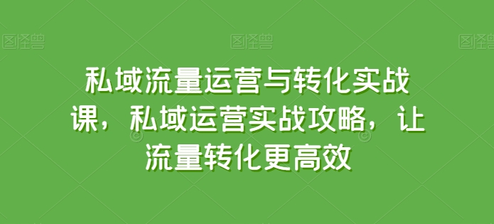 私域流量运营与转化实战课，私域运营实战攻略，让流量转化更高效-一点通资源网