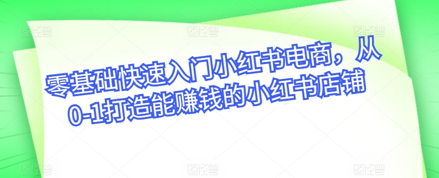 零基础快速入门小红书电商，从0-1打造能赚钱的小红书店铺-一点通资源网