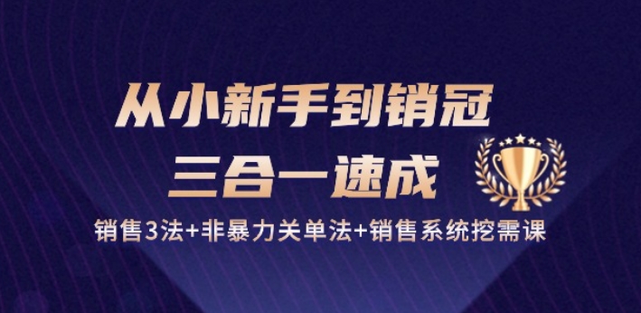 从小新手到销冠 三合一速成：销售3法+非暴力关单法+销售系统挖需课 (27节)-一点通资源网