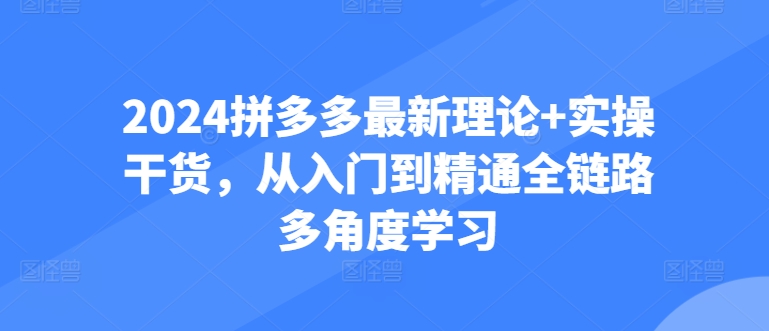 2024拼多多最新理论+实操干货，从入门到精通全链路多角度学习-一点通资源网