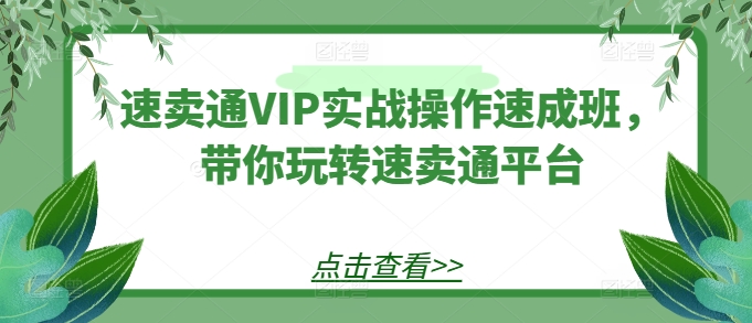 速卖通VIP实战操作速成班，带你玩转速卖通平台-一点通资源网