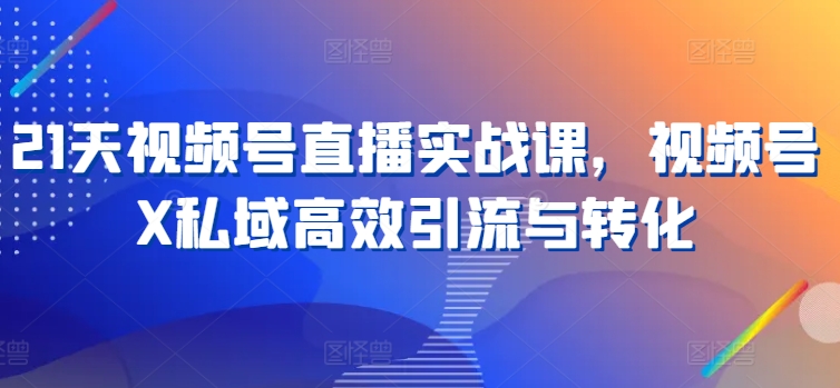 21天视频号直播实战课，视频号X私域高效引流与转化-一点通资源网