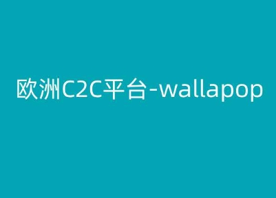 欧洲C2C平台-wallapop-kim跨境电商教程-一点通资源网