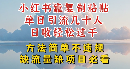 小红书靠复制粘贴单日引流几十人目收轻松过千，方法简单不违规【揭秘】-一点通资源网