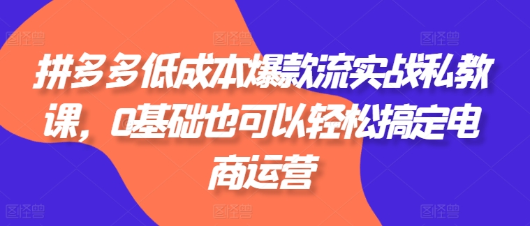 拼多多低成本爆款流实战私教课，0基础也可以轻松搞定电商运营-一点通资源网