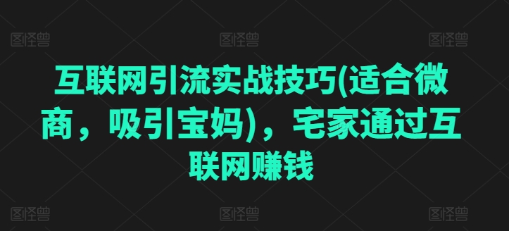 互联网引流实战技巧(适合微商，吸引宝妈)，宅家通过互联网赚钱-一点通资源网