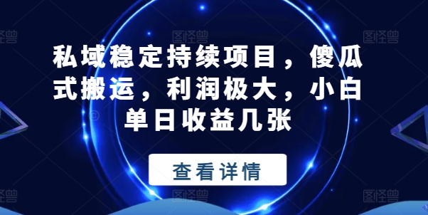 私域稳定持续项目，傻瓜式搬运，利润极大，小白单日收益几张【揭秘】-一点通资源网