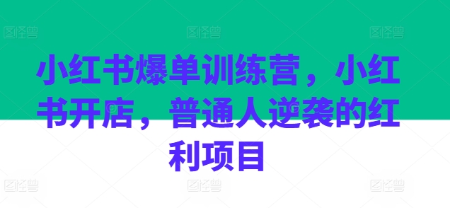 小红书爆单训练营，小红书开店，普通人逆袭的红利项目-一点通资源网
