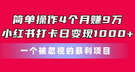 简单操作4个月赚9w，小红书打卡日变现1k，一个被忽视的暴力项目【揭秘】-一点通资源网