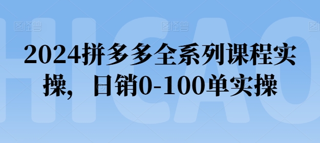 2024拼多多全系列课程实操，日销0-100单实操【必看】-一点通资源网