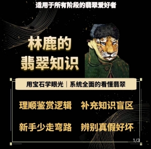 林鹿的翡翠知识，​用宝石眼光，系统全面的看懂翡翠-一点通资源网