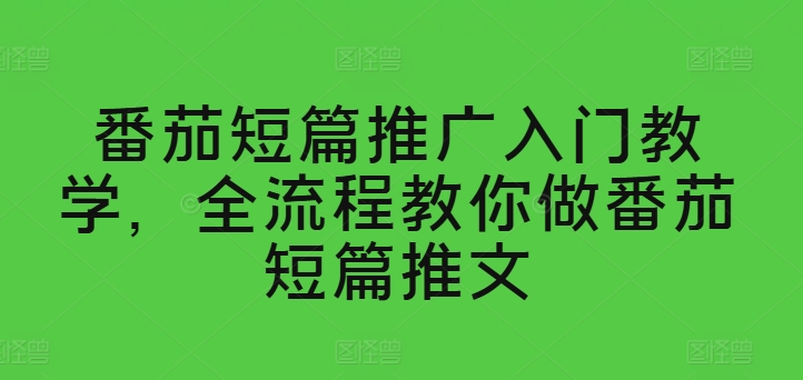 番茄短篇推广入门教学，全流程教你做番茄短篇推文-一点通资源网