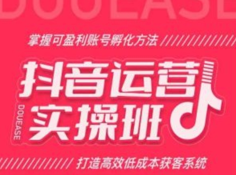 抖音运营实操班，掌握可盈利账号孵化方法，打造高效低成本获客系统-一点通资源网