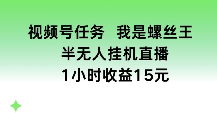 视频号任务，我是螺丝王， 半无人挂机1小时收益15元【揭秘】-一点通资源网