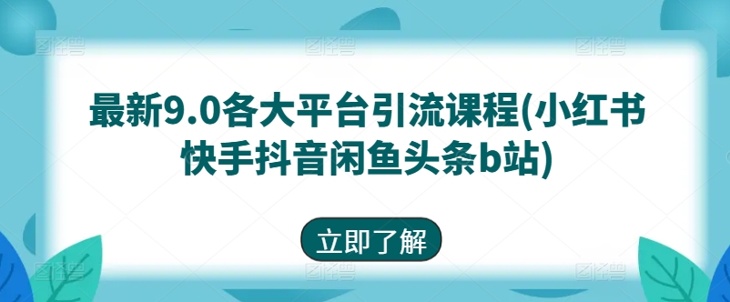 最新9.0各大平台引流课程(小红书快手抖音闲鱼头条b站)-一点通资源网