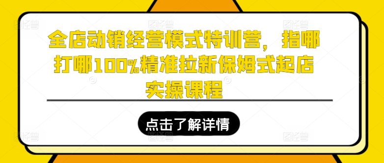 全店动销经营模式特训营，指哪打哪100%精准拉新保姆式起店实操课程-一点通资源网