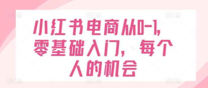 小红书电商从0-1，零基础入门，每个人的机会-一点通资源网