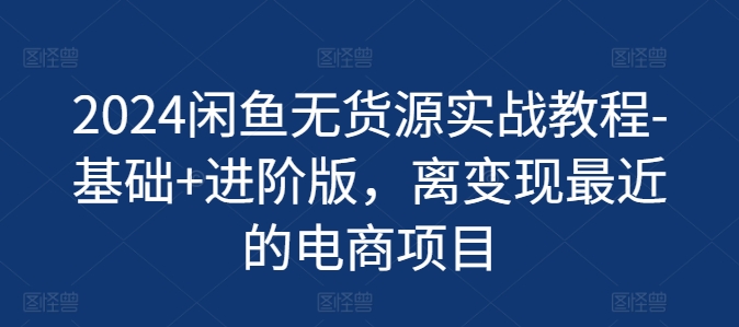2024闲鱼无货源实战教程-基础+进阶版，离变现最近的电商项目-一点通资源网