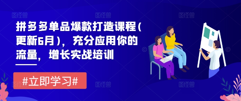 拼多多单品爆款打造课程(更新6月)，充分应用你的流量，增长实战培训-一点通资源网