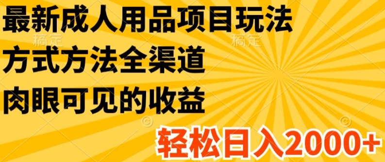 最新成人用品项目玩法，方式方法全渠道，轻松日入2K+【揭秘】-一点通资源网