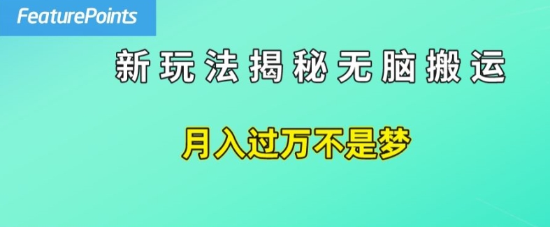 简单操作，每天50美元收入，搬运就是赚钱的秘诀【揭秘】-一点通资源网
