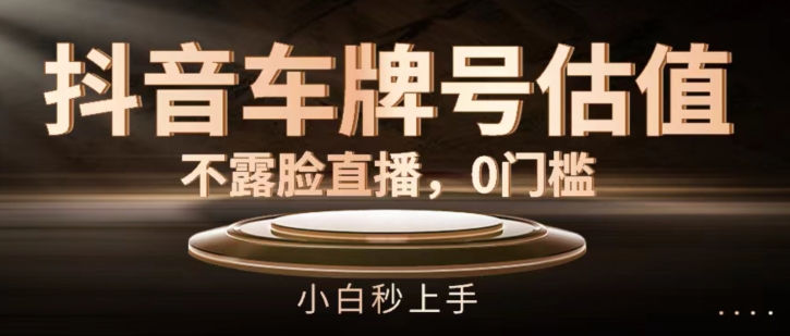 抖音车牌号估值，不露脸直播，0门槛，小白秒上手【揭秘】-一点通资源网