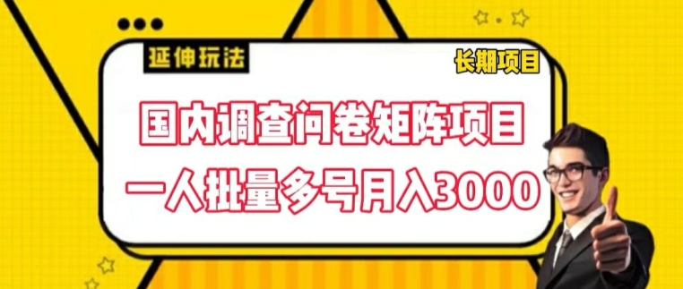 国内调查问卷矩阵项目，一人批量多号月入3000【揭秘】-一点通资源网
