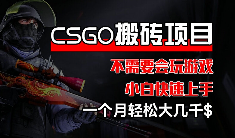CSGO 装备搬砖项目，操作简单，不需要会玩游戏，小白也能快速上手，一个月轻松大几千【揭秘】-一点通资源网