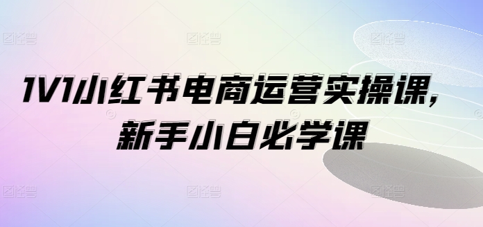1V1小红书电商运营实操课，新手小白必学课-一点通资源网