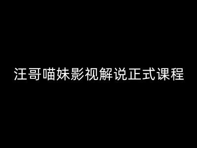 汪哥影视解说正式课程：剪映/PR教学/视解说剪辑5大黄金法则/全流程剪辑7把利器等等-一点通资源网