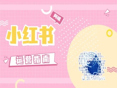 小红书运营指南，没有套路，全是经验-一点通资源网