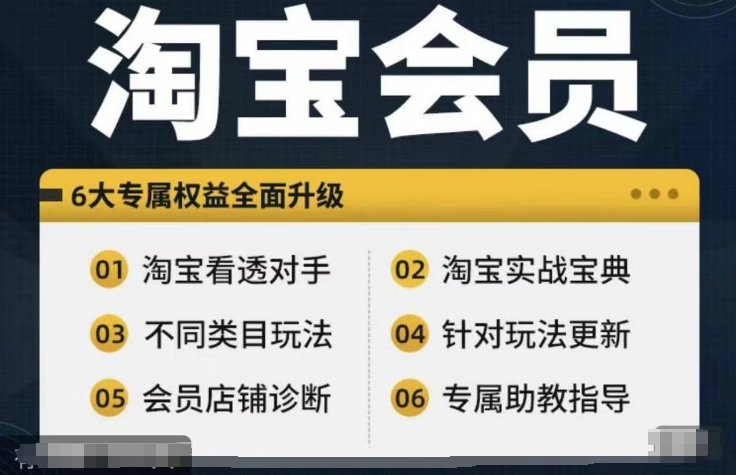 淘宝会员【淘宝所有课程，全面分析对手】，初级到高手全系实战宝典-一点通资源网