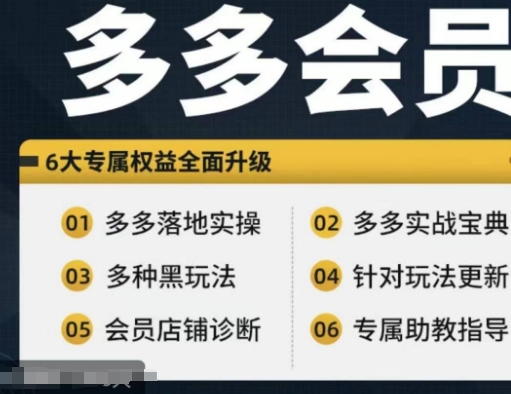 拼多多会员，拼多多实战宝典+实战落地实操，从新手到高阶内容全面覆盖-一点通资源网