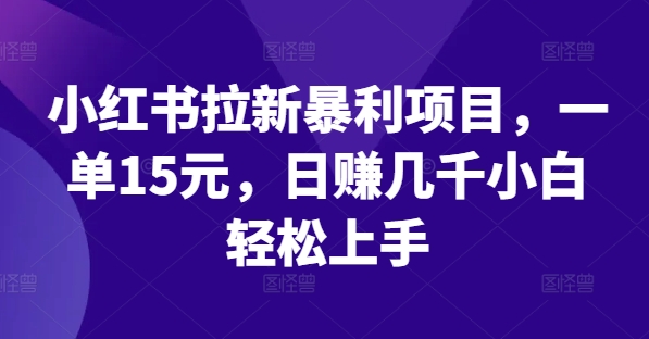 小红书拉新暴利项目，一单15元，日赚几千小白轻松上手【揭秘】-一点通资源网