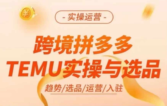 跨境拼多多TEMU实操与选品，多多temu跨境选品运营实操-一点通资源网