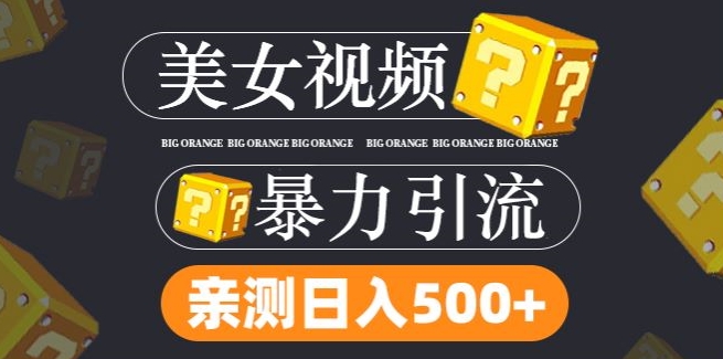 搬运tk美女视频全网分发，日引s粉300+，轻松变现，不限流量不封号【揭秘】-一点通资源网