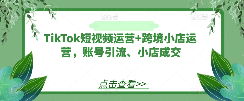 TikTok短视频运营+跨境小店运营，账号引流、小店成交-一点通资源网