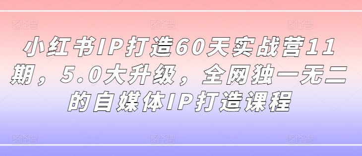 小红书IP打造60天实战营11期，5.0大升级，全网独一无二的自媒体IP打造课程-一点通资源网