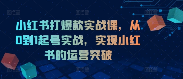 小红书打爆款实战课，从0到1起号实战，实现小红书的运营突破-一点通资源网