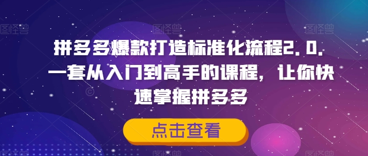 拼多多爆款打造标准化流程2.0，一套从入门到高手的课程，让你快速掌握拼多多-一点通资源网