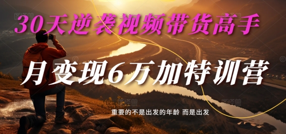 30天逆袭视频带货高手，单月变现6万加特训营-麦子甜-一点通资源网