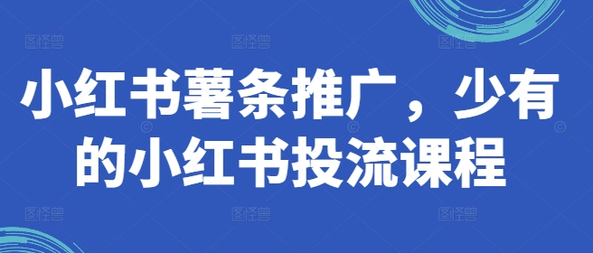 小红书薯条推广，少有的小红书投流课程-一点通资源网